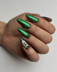 WINTER EVERGREEN