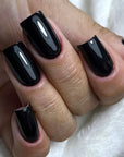 FORÊT NOIRE