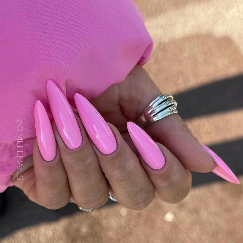 ✨ FLAMINGO ✨