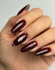 JELLY HOLLY