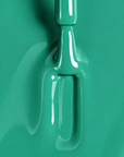 EUCALYPTUS