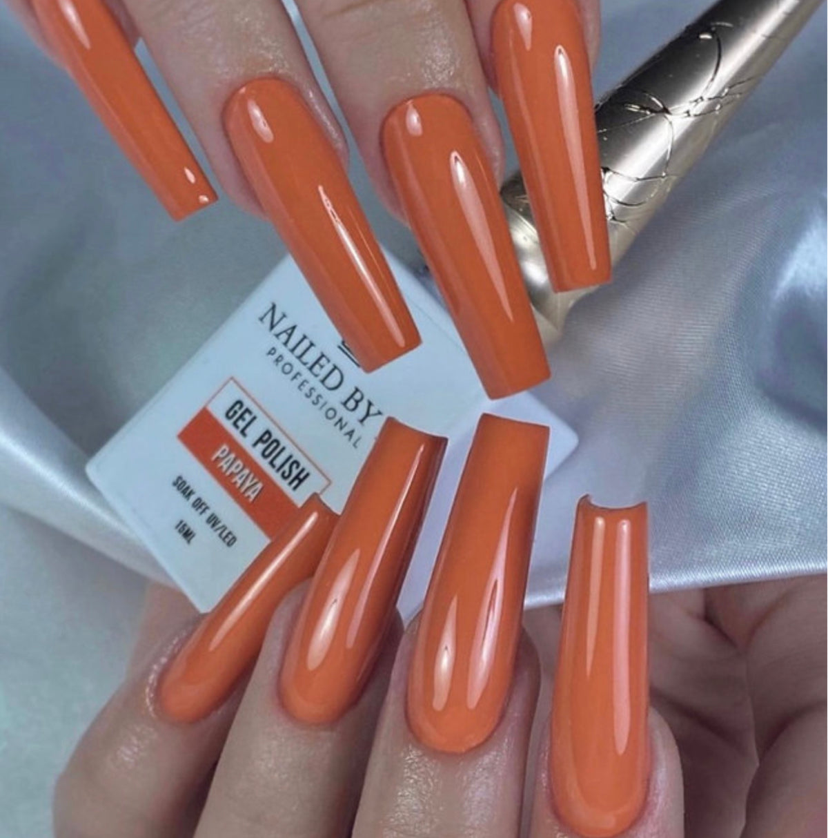 ✨ PAPAYA✨