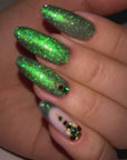 WINTER EVERGREEN