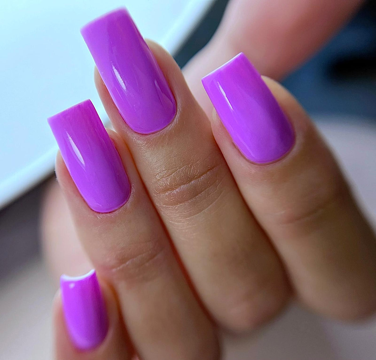 ✨ VIOLA ✨